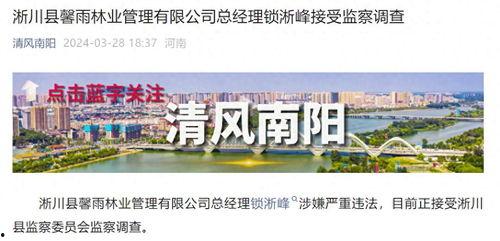 河南南阳市最新爆料,揭秘南阳市最新动态与热点事件  第3张